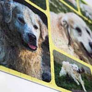 Puzzle Collage de fotos 500 Piezas - €  19.99