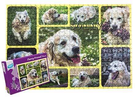 Puzzle Collage de fotos 500 Piezas