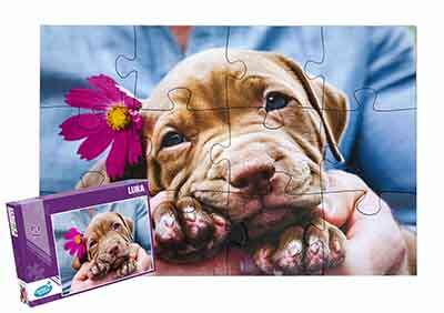 Puzzle 12 XXL Piezas