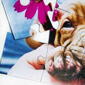 Puzzle 12 XXL Piezas - €  12.97
