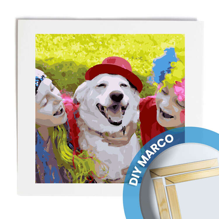 Pintura por números 50x50-MARCO DIY 